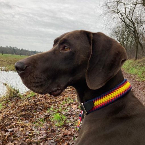 Halsband max paracord mypetfactory