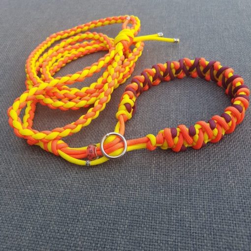 Puppy walker Foetsie - Afbeelding 12