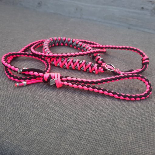 Puppy walker Foetsie - Afbeelding 13