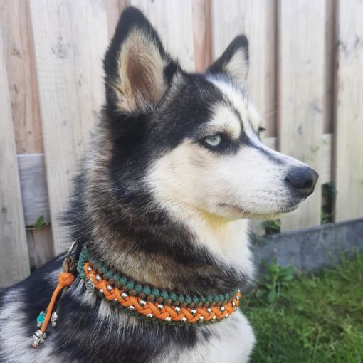 Halsband Pip - Afbeelding 2