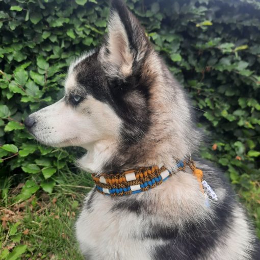 Halsband en tekenband Tick - Afbeelding 2