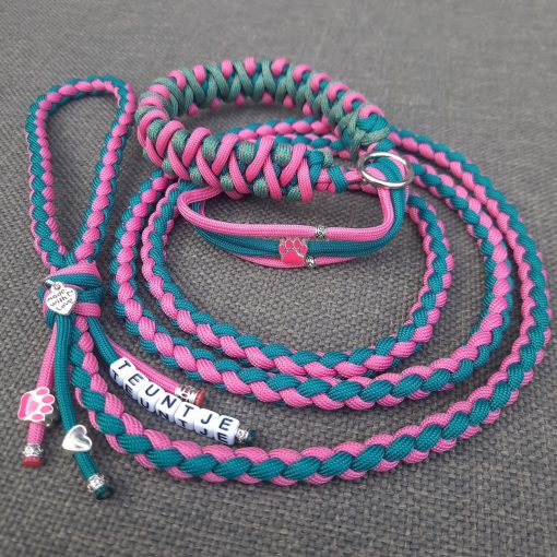 Puppy walker Foetsie - Afbeelding 3