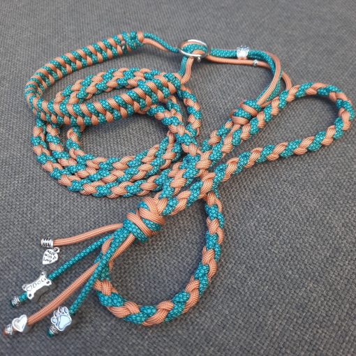 Puppy walker Dolly - Afbeelding 6