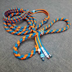 Puppy walker Dolly